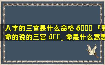八字的三宫是什么命格 🐘 「算命的说的三宫 🕸 命是什么意思」